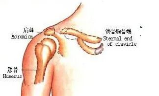 为什么手术后要经常翻身骨科常见疾病术后体位及注意事项_https://www.jmylbn.com_新闻资讯_第4张