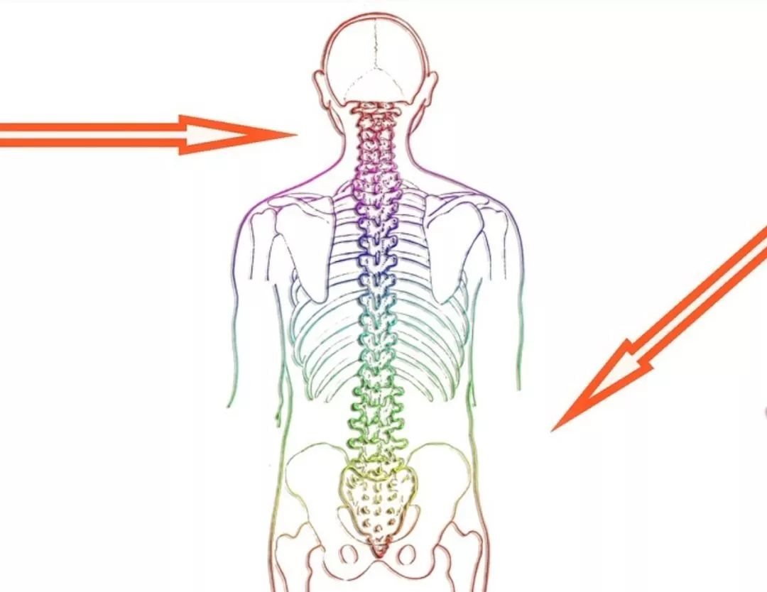 脊髓损伤患者的康复该如何应对 驻马店魏道德骨科医院 微信公众号文章阅读 Wemp