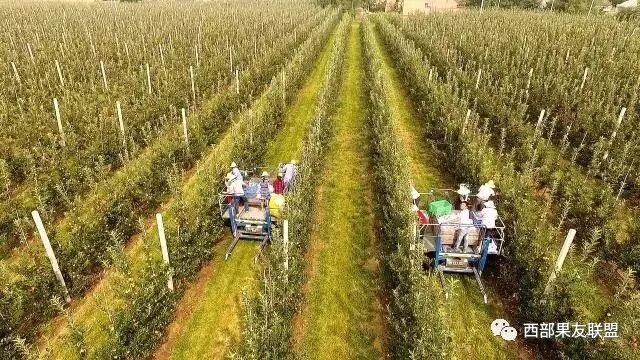 �ִ����Ͱ�����ֲƻ��԰�ʶȹ�ģ��  �߱�׼��԰���ɼ���