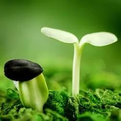 ��Ȼ����Ŀ�ѧ�뼼��