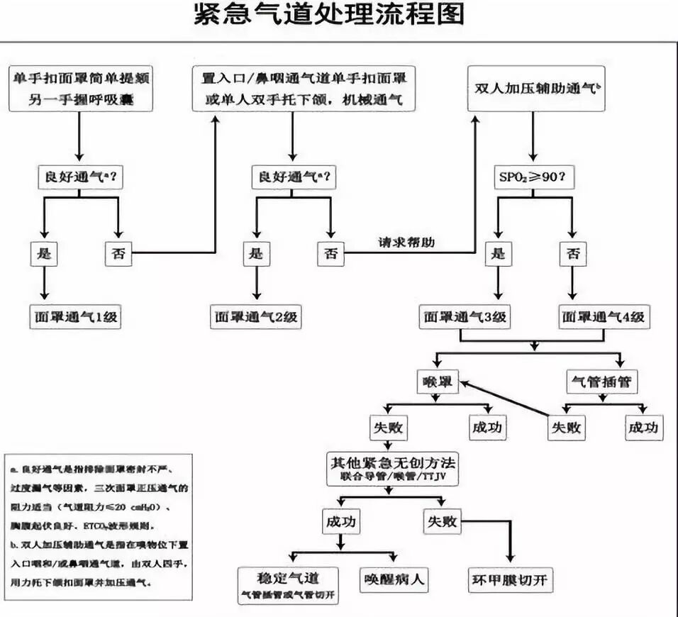 ue可视喉镜怎么购买美容麻醉手册第八季：医美困难气道(陈勇)_https://www.jmylbn.com_新闻资讯_第6张