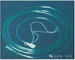 为什么吸氧管子是一边的医美麻醉：鼻氧管没选对，氧饱和度稳不住！_https://www.jmylbn.com_新闻资讯_第5张