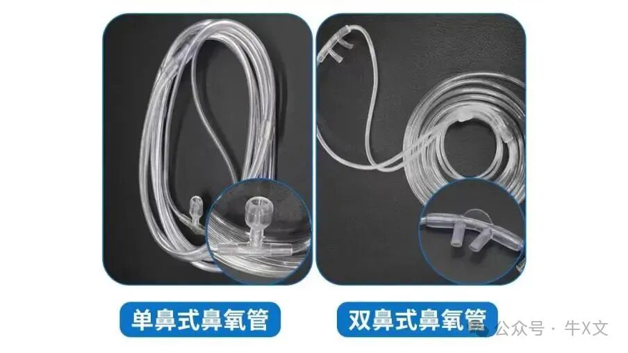 为什么吸氧管子是一边的医美麻醉：鼻氧管没选对，氧饱和度稳不住！_https://www.jmylbn.com_新闻资讯_第4张