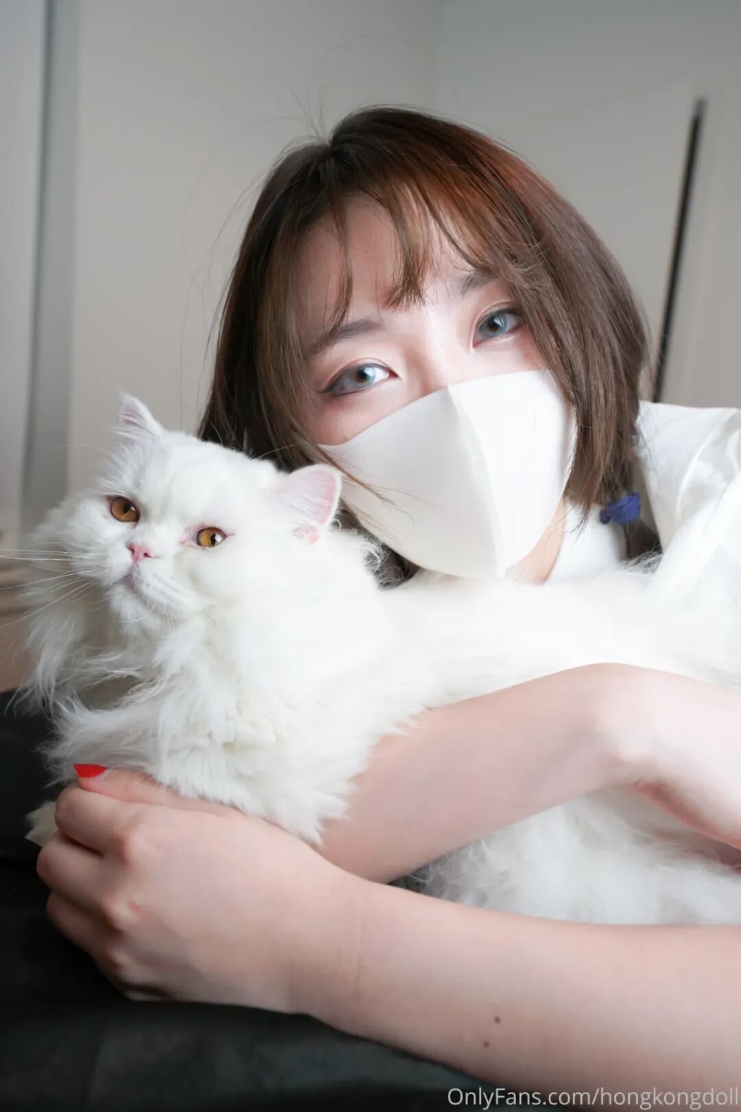 全站遍布世界各地的玩具妹妹（Vieil Crazy）数据资料选集(图7)