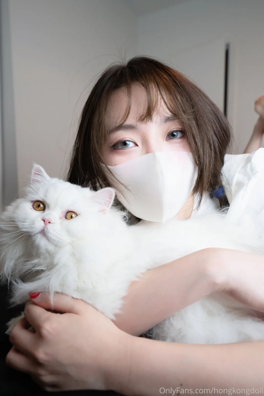 全站遍布世界各地的玩具妹妹（Vieil Crazy）数据资料选集(图8)