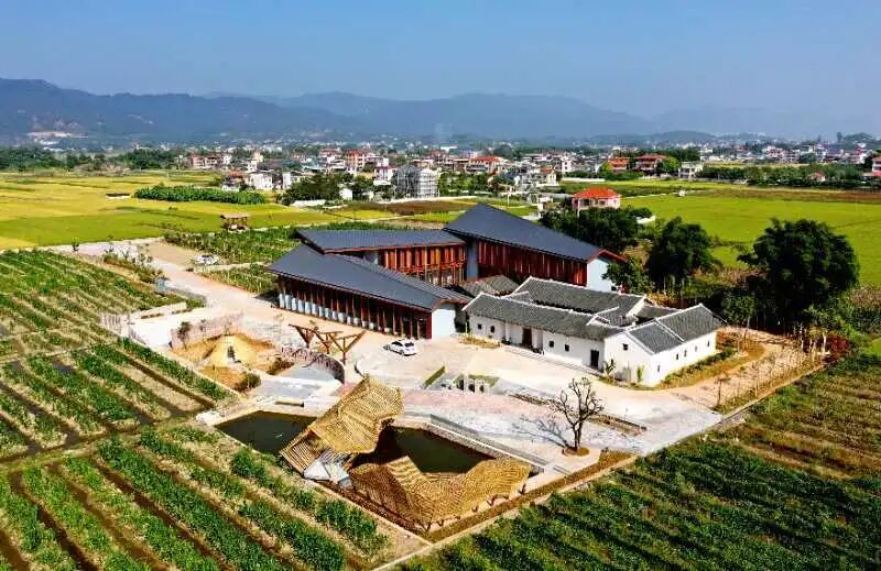 梅州蕉岭龙安村 乡村振兴之路越走越宽 电视周报 电视周报 梅视网 梅州市广播电视台官方网站