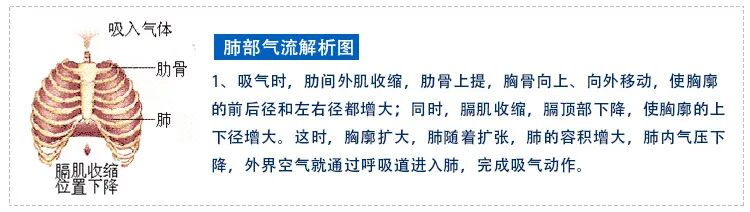 咬嘴怎么使用呼吸训练器——三球仪的使用_https://www.jmylbn.com_新闻资讯_第5张