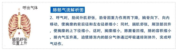 咬嘴怎么使用呼吸训练器——三球仪的使用_https://www.jmylbn.com_新闻资讯_第6张