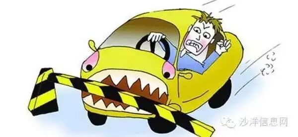 “盐马”赛事演练中 两辆车在赛道内行驶被处罚