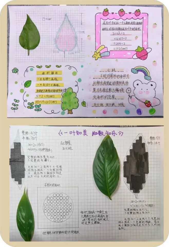 大米的方法求树叶的面积聚焦问题 多维思考估算树叶的面积,不仅是动手