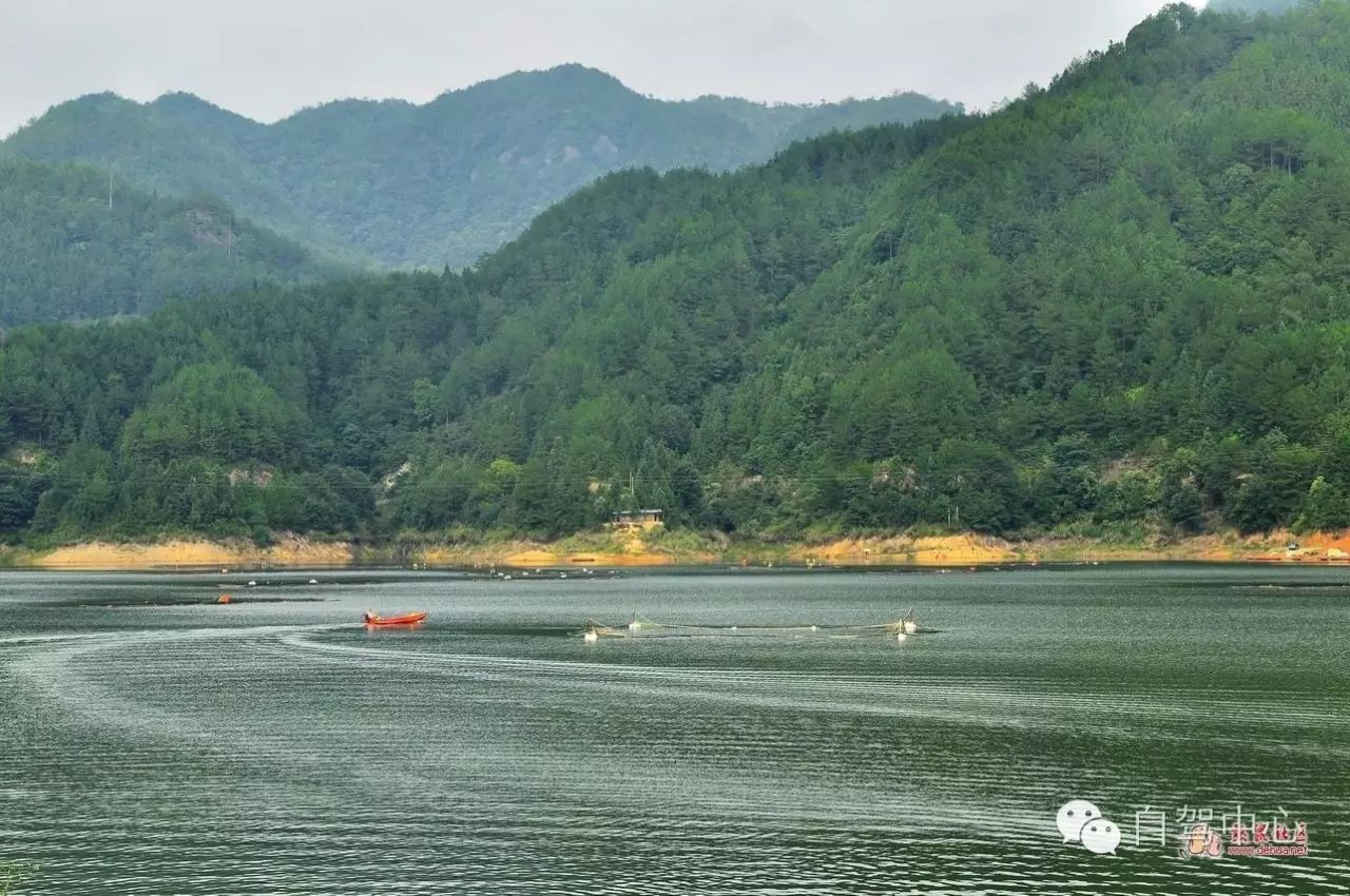 德化雙芹 湧溪水庫休閒露營三日遊