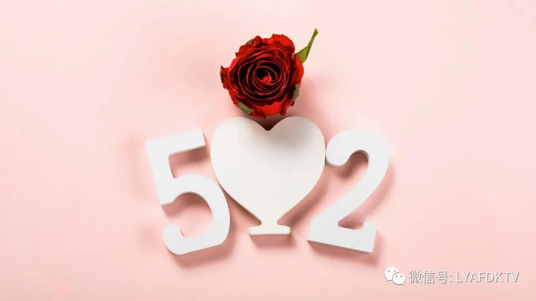 真情欢唱真心说爱！