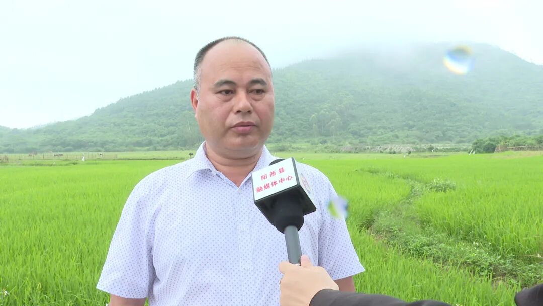 溪头镇金星村委会:从严从实整改 多举措提升人居环境 -阳西县人民政府