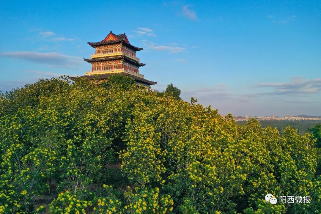 阳西大垌山风景区图片