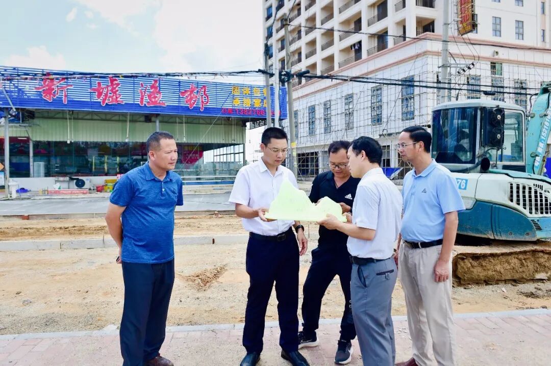 黄家新调研乡村振兴示范带建设 -阳西县人民政府网站