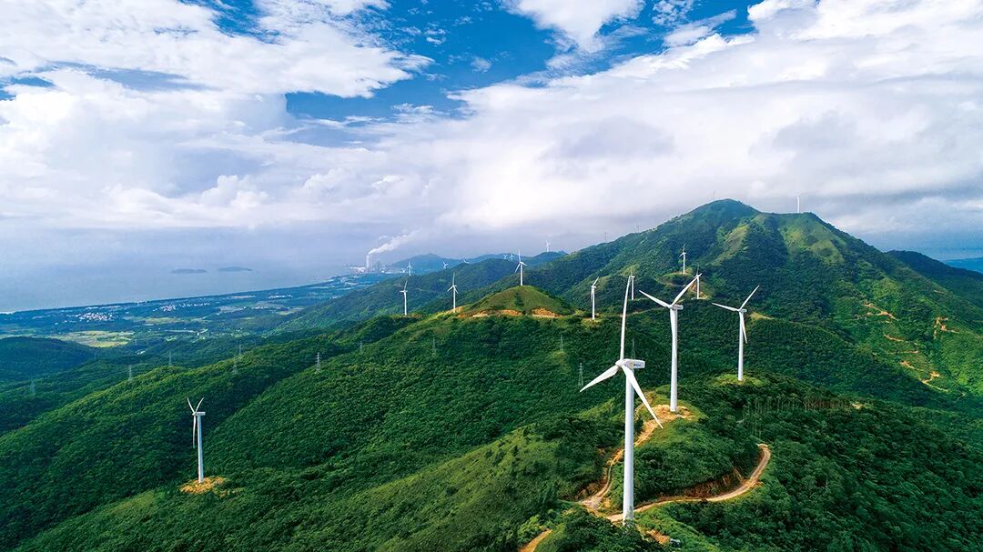 赶紧去打卡吧 -阳西县人民政府网站