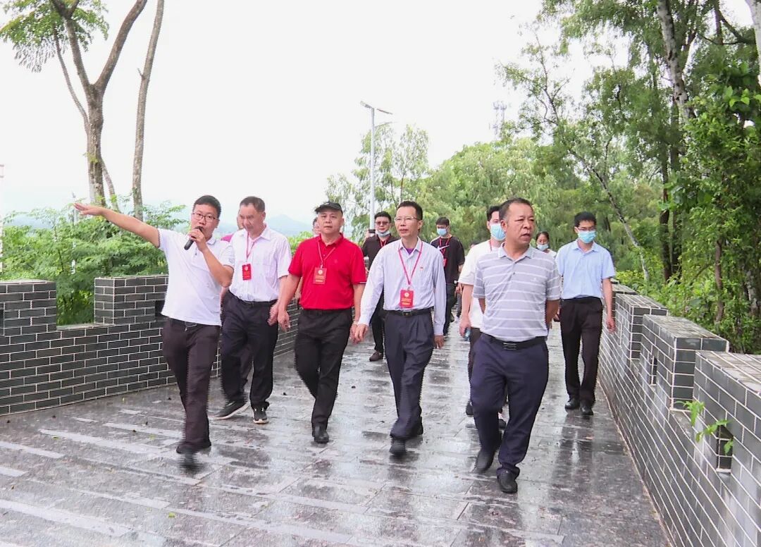 张宜春率驻外政协委员开展乡村振兴专题调研