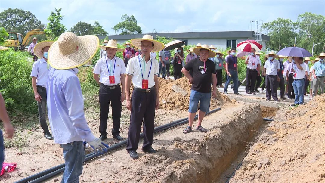 阳西县人大常委会组织开展更好发挥人大代表作用主题活动全面推进健康