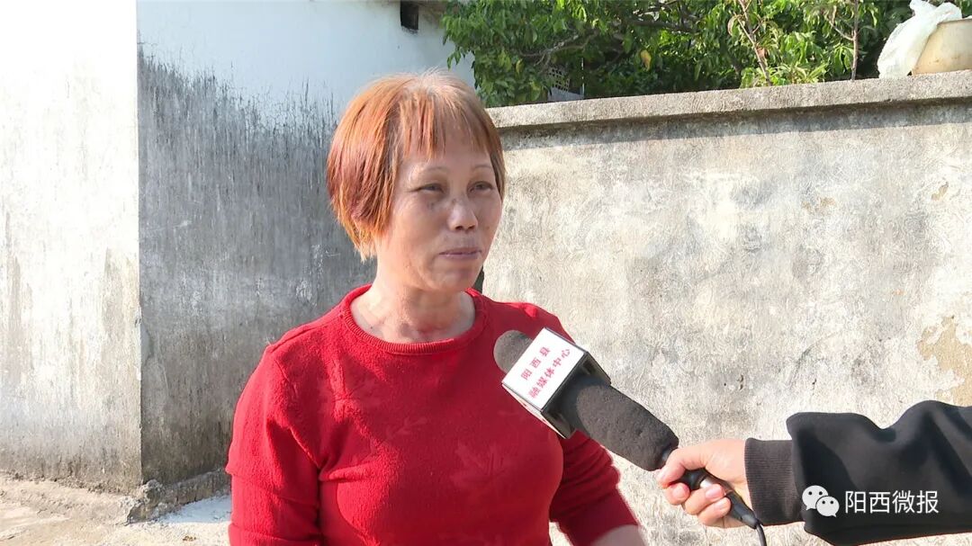 阳西县人民政府网站