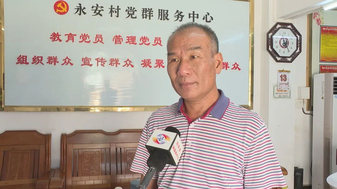 溪头镇:五彩薯喜丰收 市场供不应求 -阳西县人民政府网站