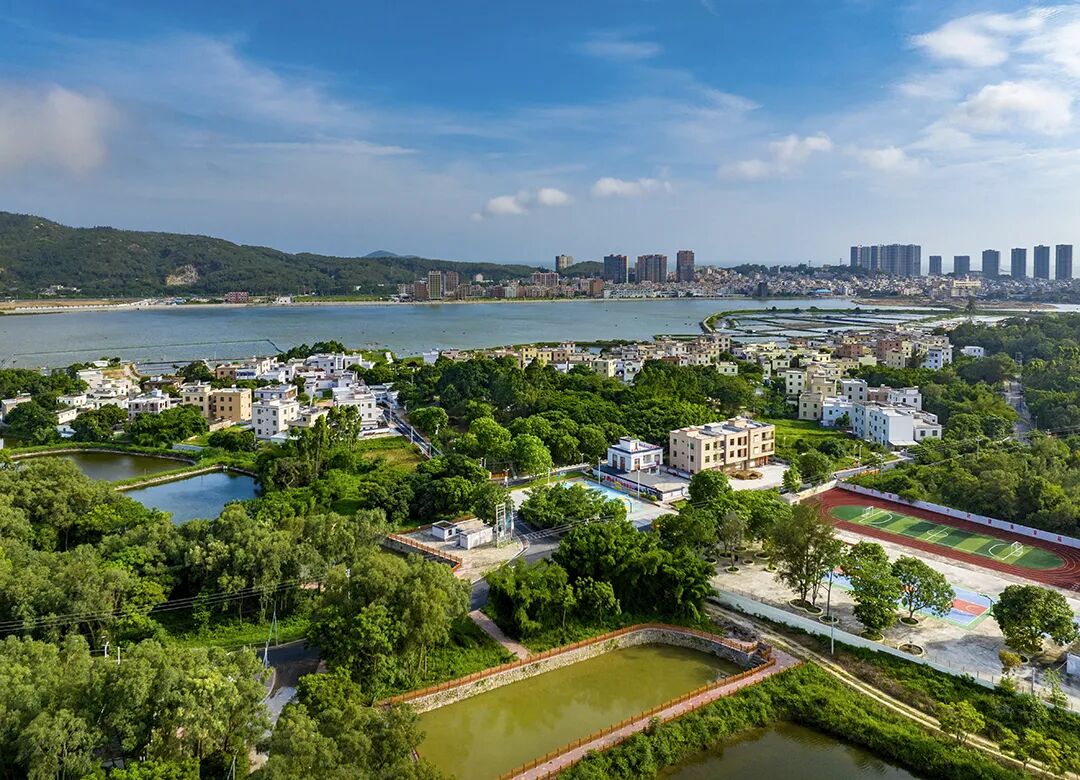 主播探村沙扒渡头村乡村振兴焕新颜