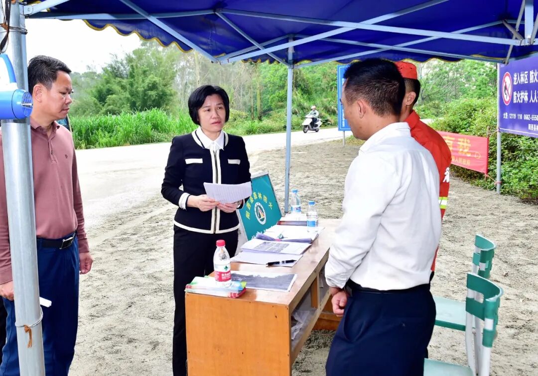 张秀洁调研节前安全生产,教育高质量发展和乡村振兴示范带建设 -阳西
