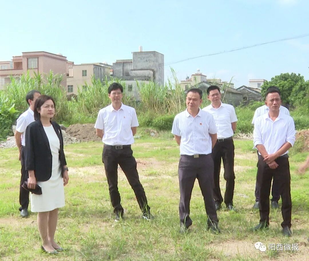 阳西县人大调研组对程村镇中心小学教学点重建工作开展调研