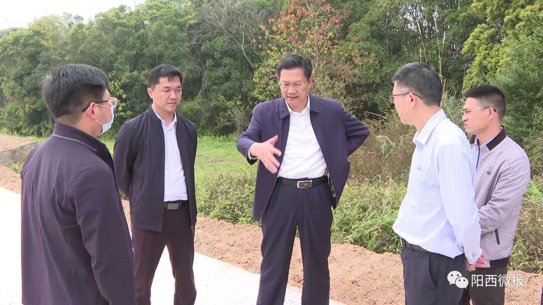 市督导组到我县检查农村公路错车台和安全生命防护工程 -阳西县人民