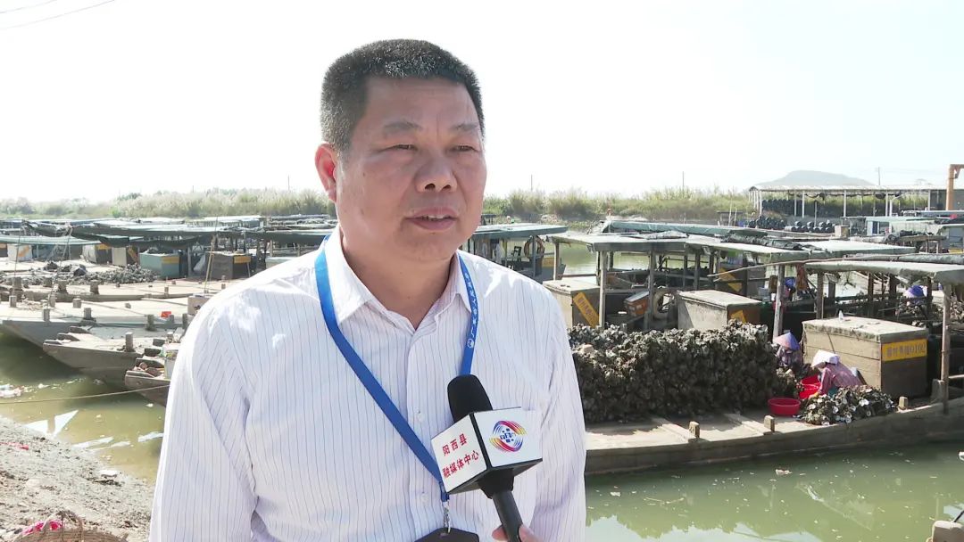 省农科院联合市农业农村局到阳西县开展水产品质量安全贝类专项抽样