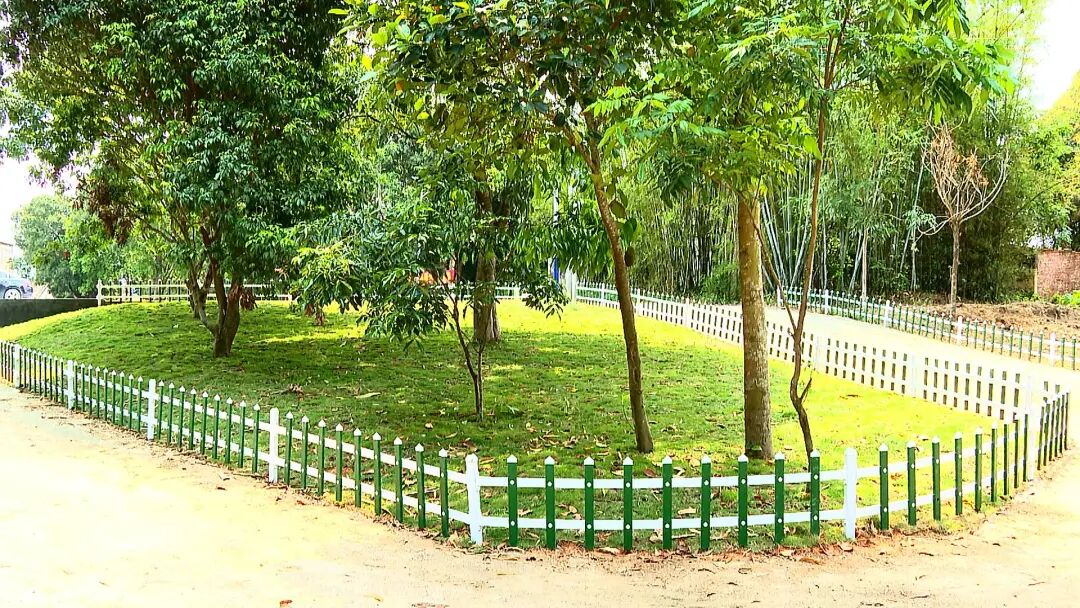 阳西全力推进四小园建设绘就美丽乡村新画卷