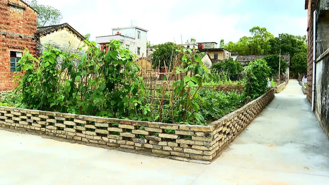 阳西全力推进四小园建设绘就美丽乡村新画卷