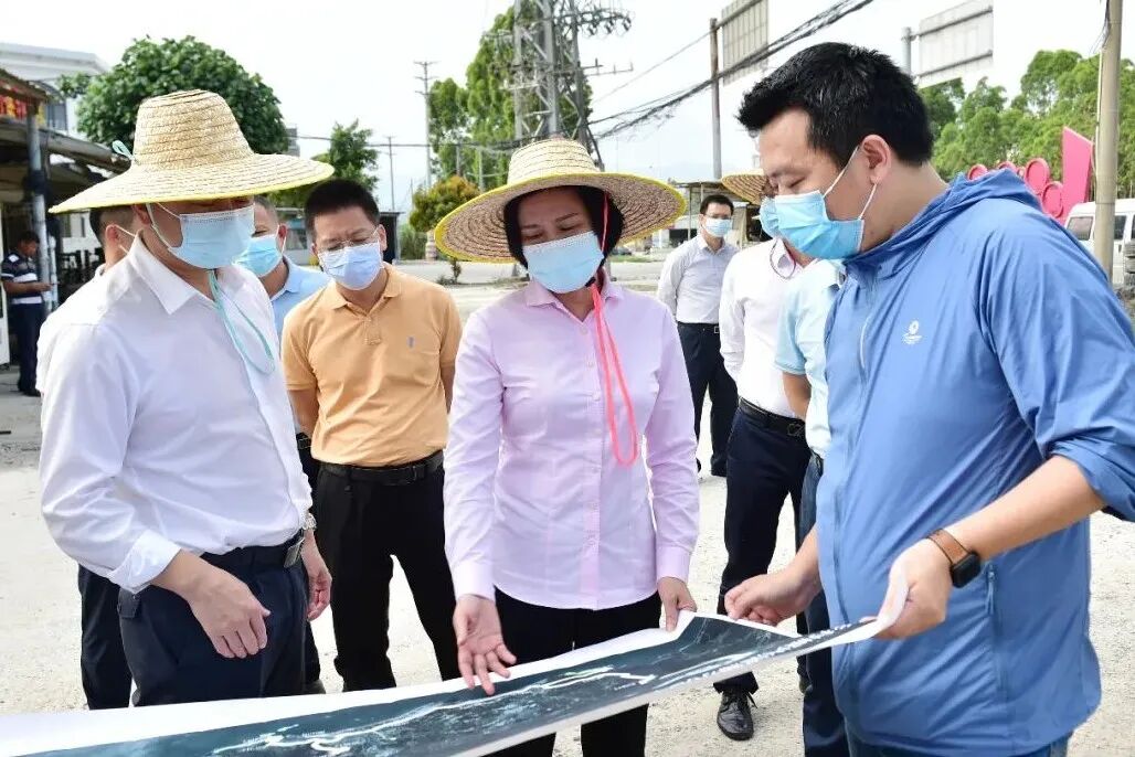 张秀洁率队调研乡村振兴工作 -阳西县人民政府网站