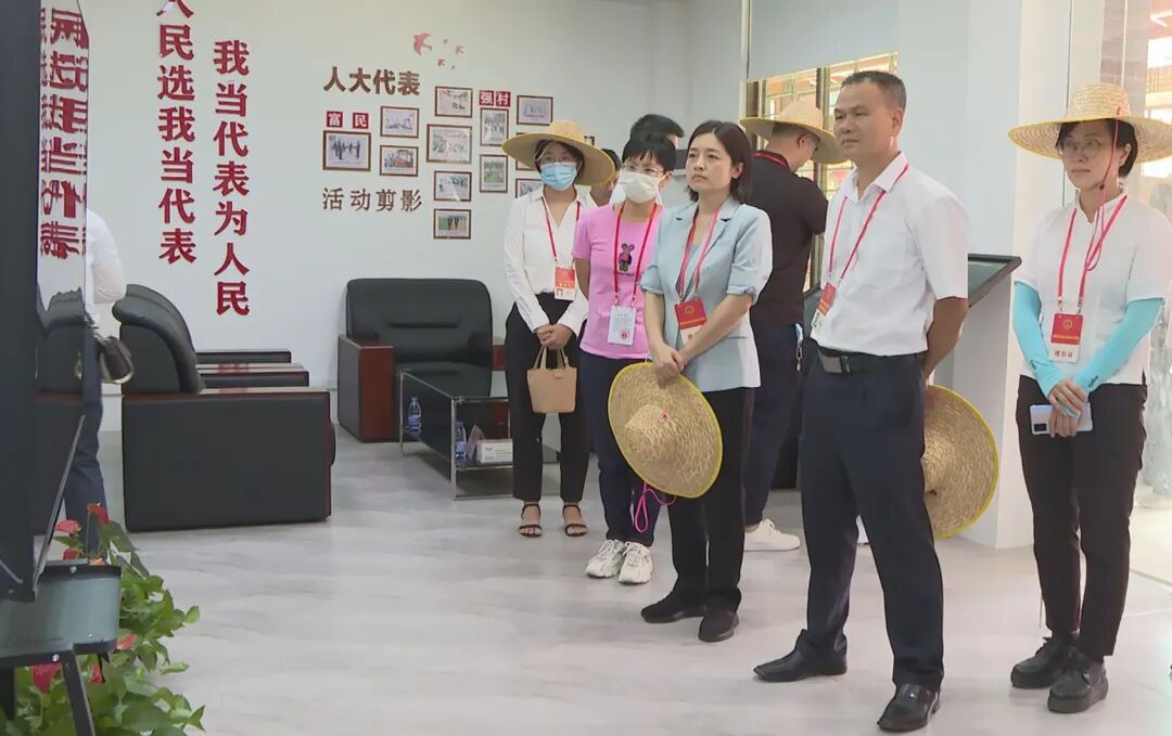 阳西县组织省市县镇人大代表开展乡村振兴专题调研