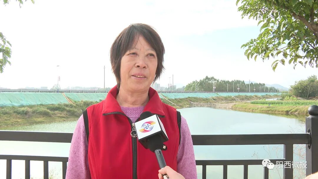 儒洞镇:联围景观大道美了 群众心里乐了 -阳西县人民政府网站