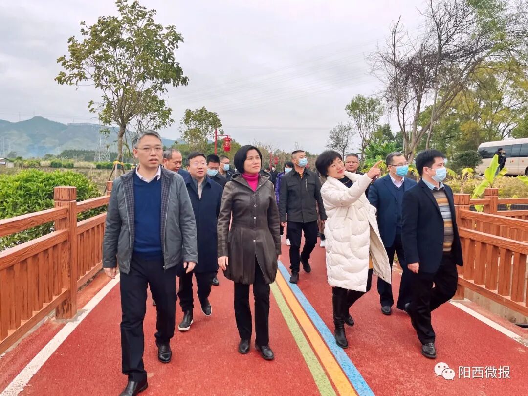 参观了河源(连平)乡村振兴示范区,柘陂村新街公园,忠信花灯文化广场