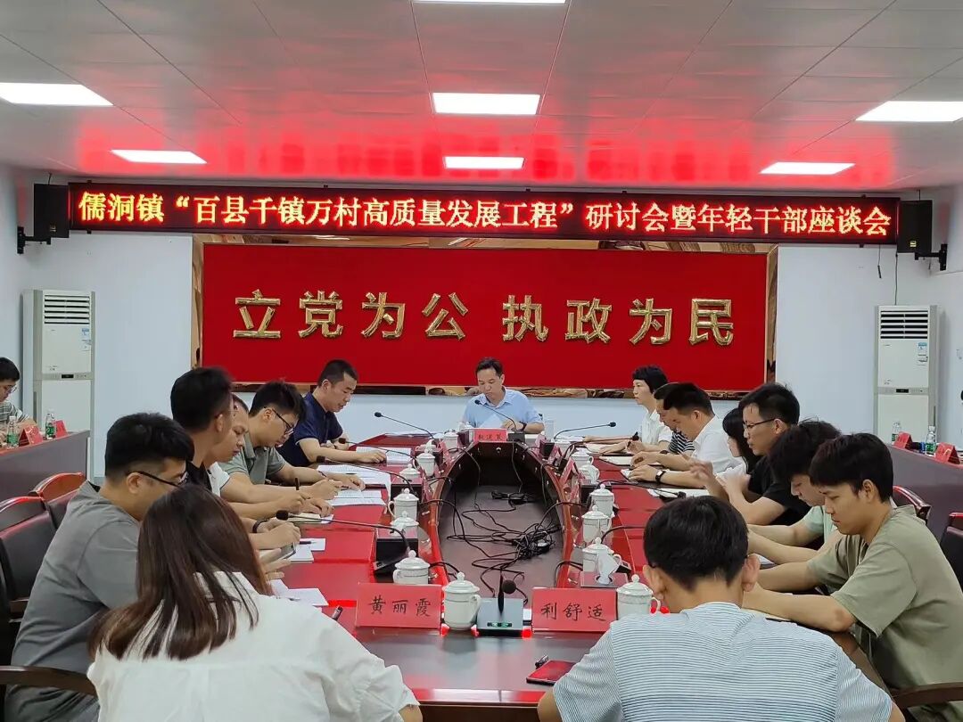 儒洞镇召开百县千镇万村高质量发展工程研讨会暨年轻干部座谈会