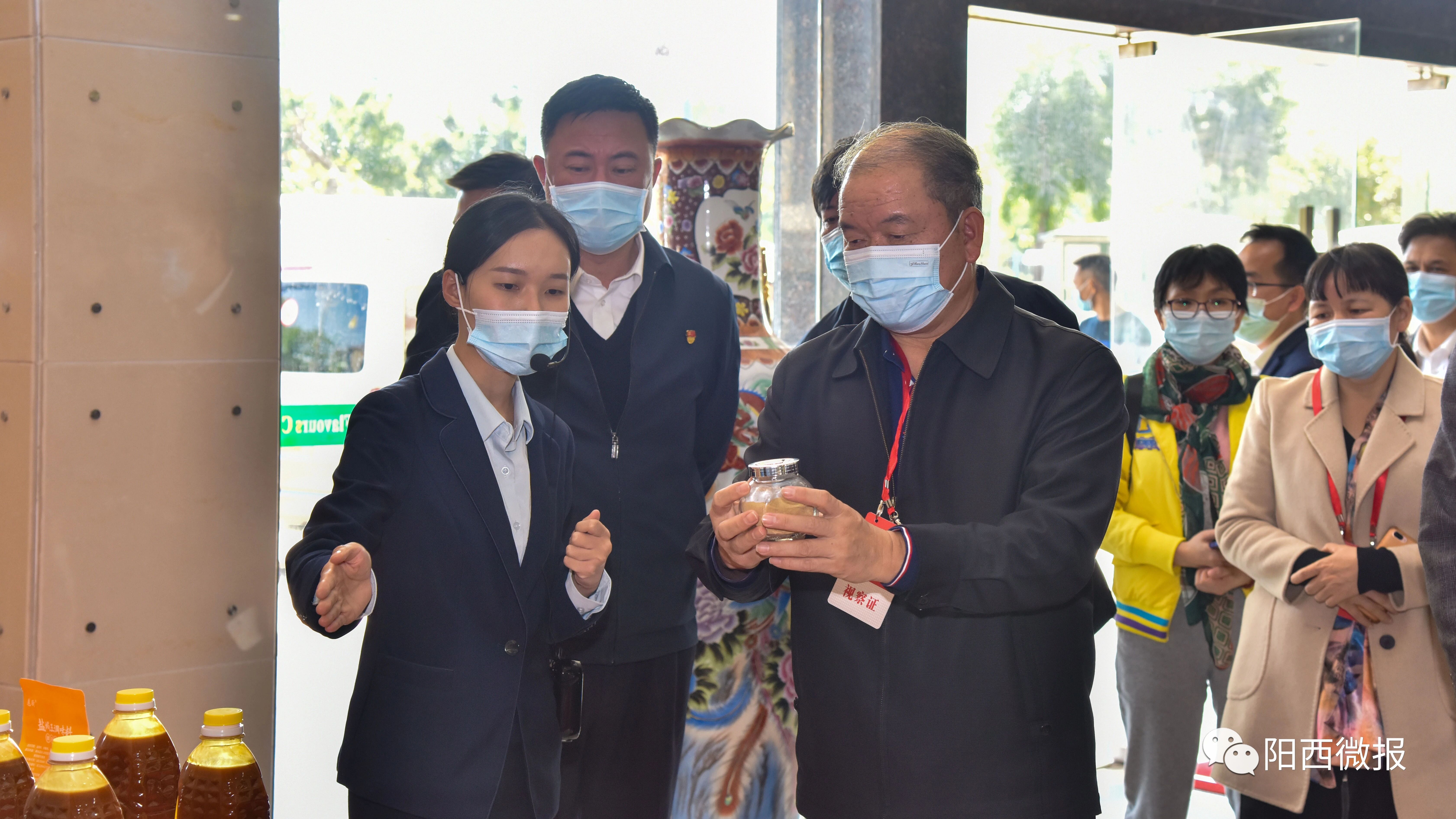 市人大常委会组织全国,省,市人大代表到阳西县开展集中视察活动