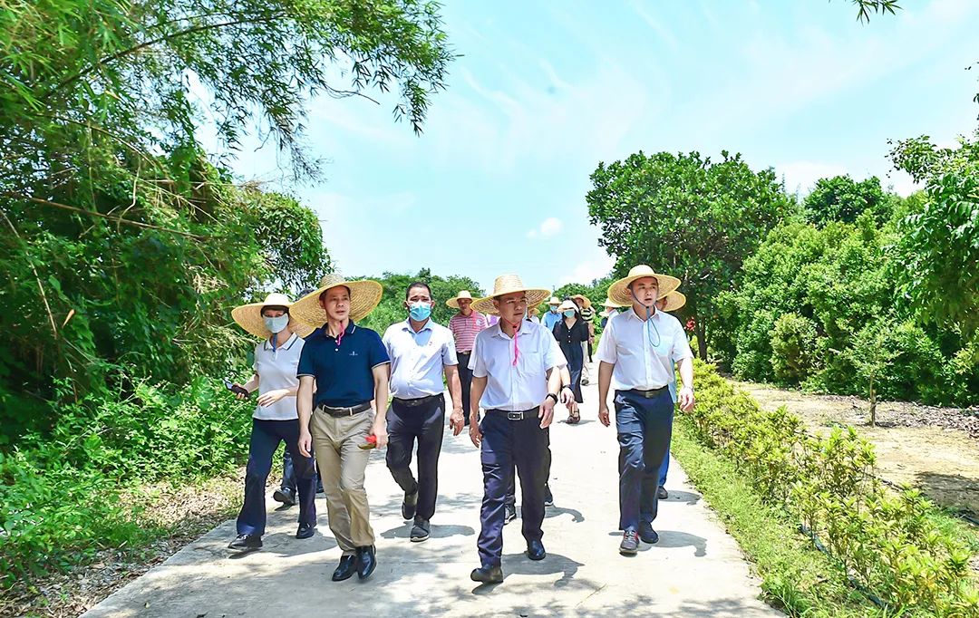 黄家新一行先后来到了程村镇罗岗村委会,莲花村委会,儒洞镇河洞村委会