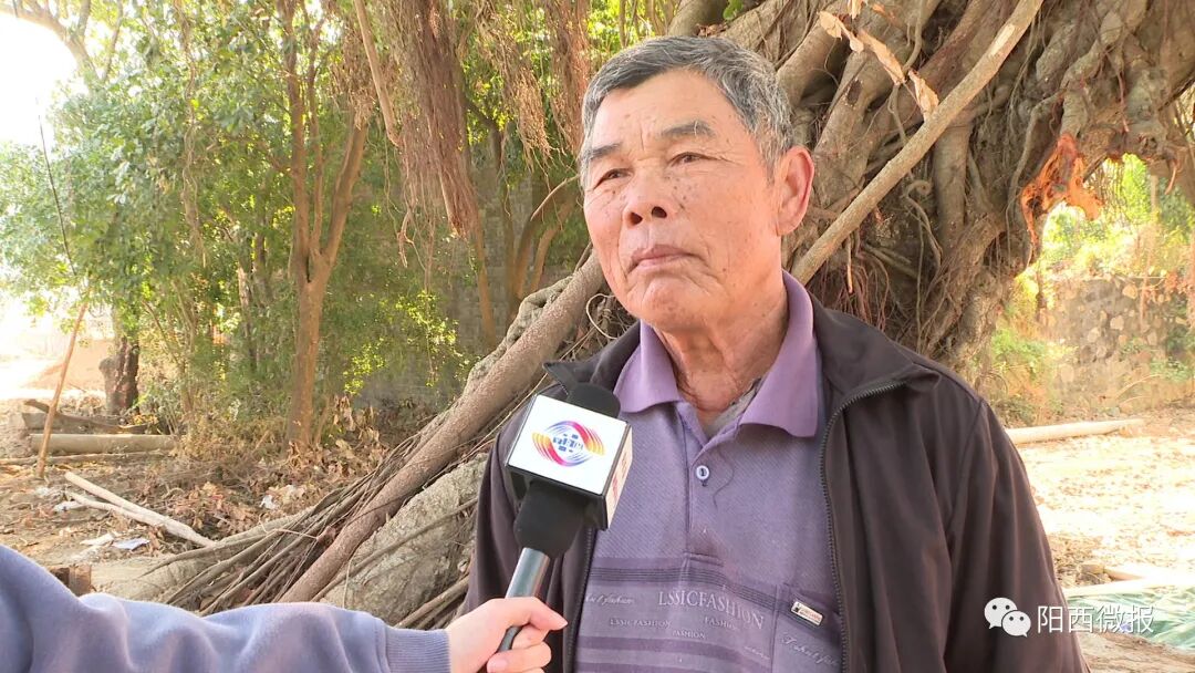 新春走基层阳西上洋西瓜驿站已完成总工程量50