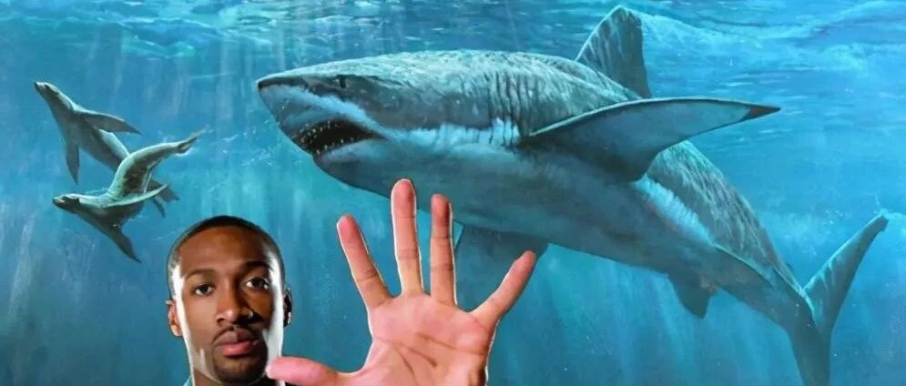 NBA球星的奇葩宠物：大将军饲养鲨鱼，波兰铁锤养猪逛商场