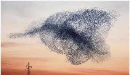 無人機集群作戰通信Amesh自組網的關鍵技術探討(圖1) 無人機集群作戰通信Amesh自組網的關鍵技術探討(圖1)
