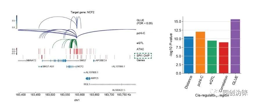 Nature子刊:北大高歌團隊提出單細胞多組學數據整合與調控推斷新方法(圖6) Nature子刊:北大高歌團隊提出單細胞多組學數據整合與調控推斷新方法(圖6)