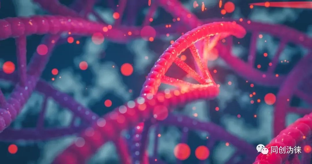Nature子刊：北大高歌團隊提出單細胞多組學數據整合與調控推斷新方法(圖1)