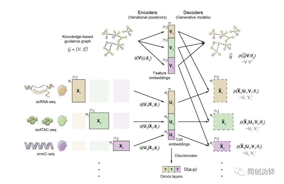 Nature子刊：北大高歌团队提出单细胞多组学数据整合与调控推断新方法(图3)