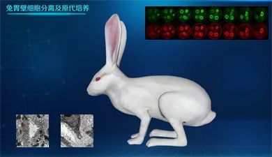生物实验安全与防护虚拟仿真综合实验(图3) 生物实验安全与防护虚拟仿真综合实验(图3)