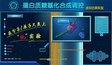 生物实验安全与防护虚拟仿真综合实验(图2) 生物实验安全与防护虚拟仿真综合实验(图2)