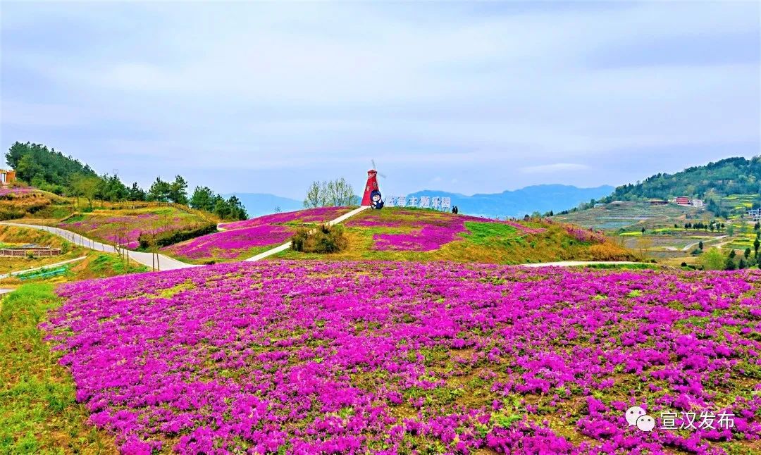 达州看花景点推荐图片