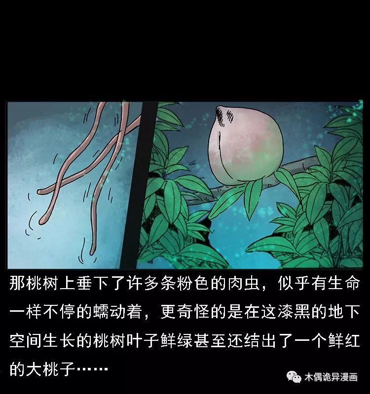 【鬼桃樹】 靈異 第27張