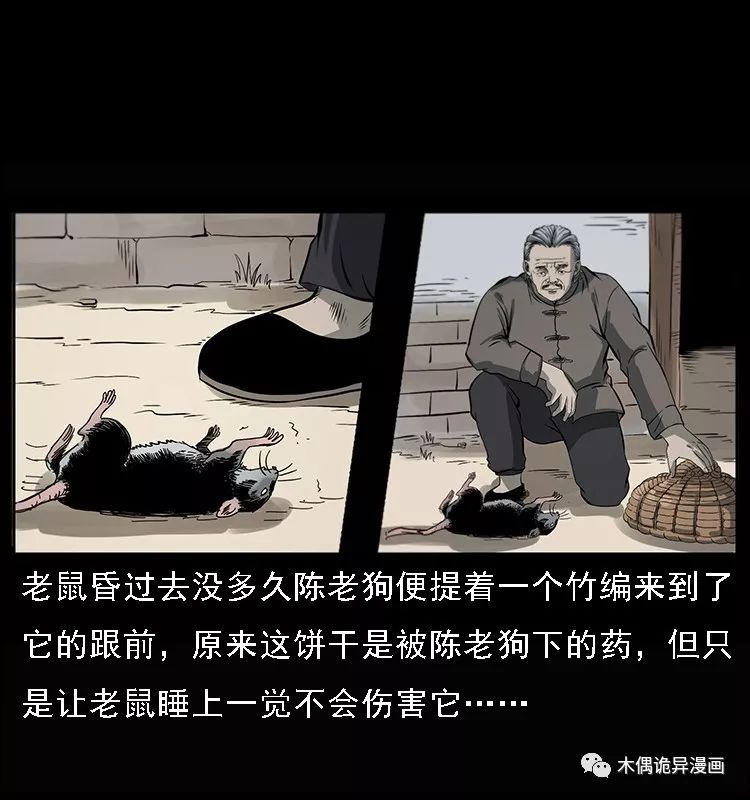 【鬼桃樹】 靈異 第6張