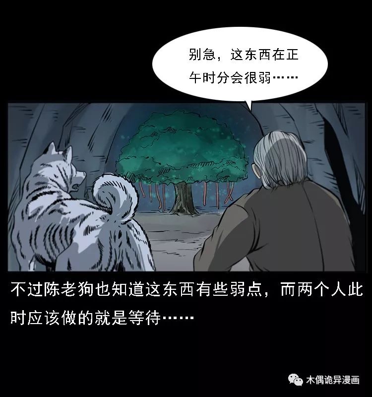 【鬼桃樹】 靈異 第33張